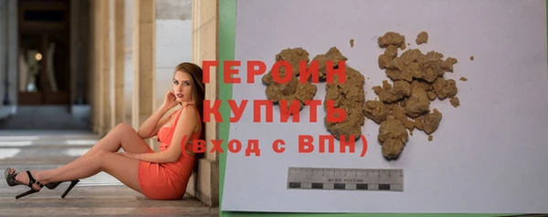гидра Богданович