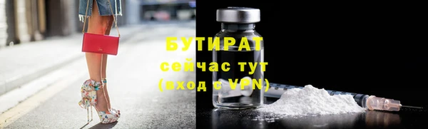 гидра Богданович