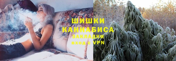 крисы Бронницы