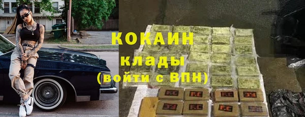 крисы Бронницы