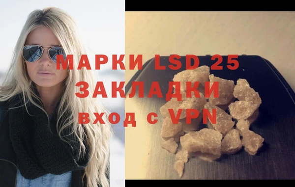 гидра Богданович