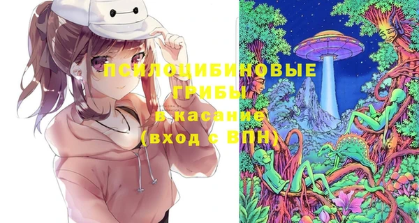 прущая мука Бородино