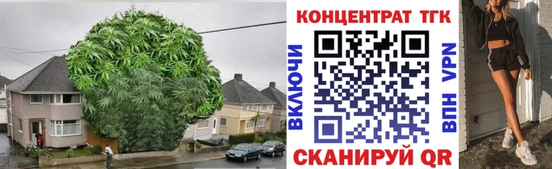 ТГК концентрат  Кемь 