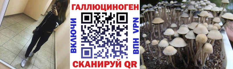 Галлюциногенные грибы Cubensis  Кемь 